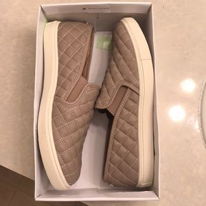 Steve Madden Ecentrcq Slip-On sneakers